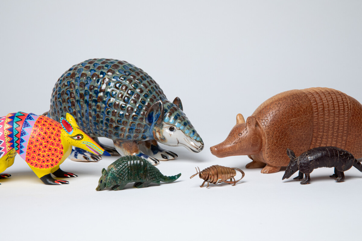 Six armadillos in a variety of colors and materials from Mexico, Brazil, the United States of America, and El Salvador. 1999-11-004, 1993-55-132, 1993-55-172A, 1993-55-146, 1993-55-143, 1993-55-066.