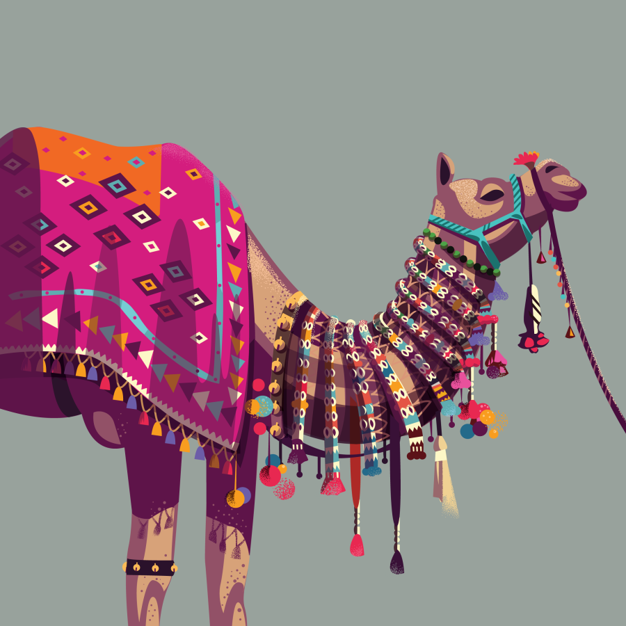 Adorned Camel Illustration by Ranganath Krishnamani featured in the exhibition, Trappings, by Mingei International Museum.