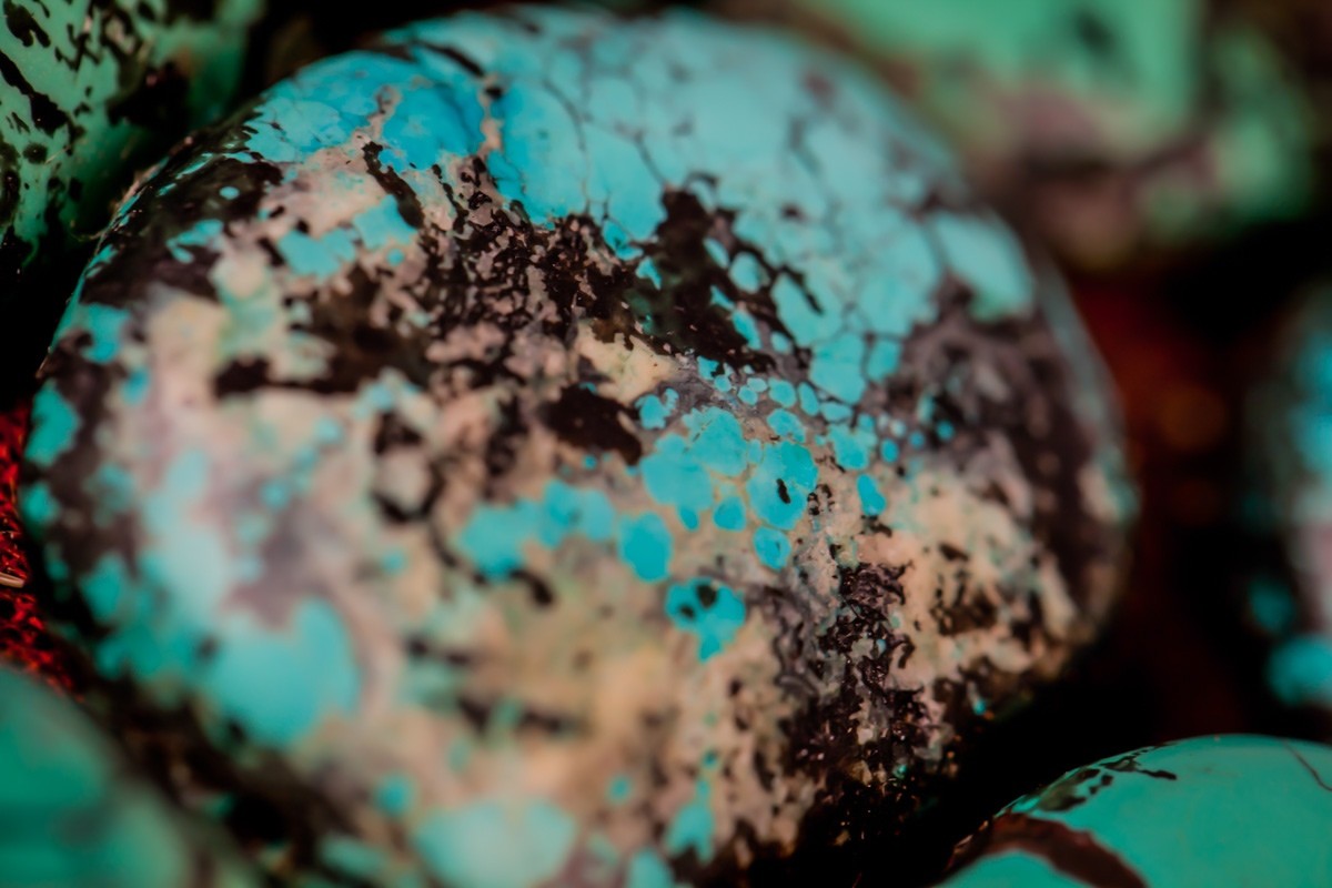 Detail of Hat (Perak), 20th Century, Ladakh, India, Leather, fur, turquoise, shells, silver.  Gift of Drs. James and Judith Kemp. Collection of Mingei International Museum. Photo by Ken Kondo.