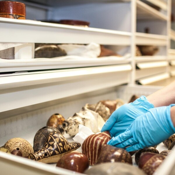 Image of Pre-Columbian objects in collections storage, Mingei International Museum. Photo by Katie Gardner.