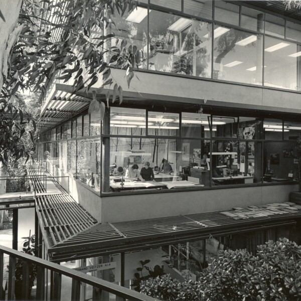The Design Center — a modernist architecture building with large glass windows above a canyon